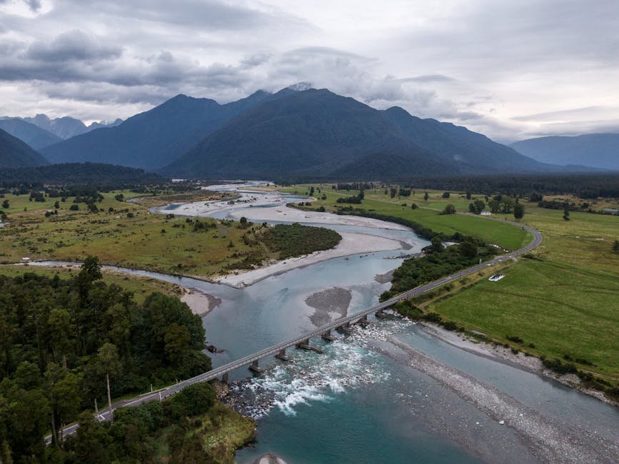 Bruce Lee's Philosophy: The Art of Water and Self-Expression