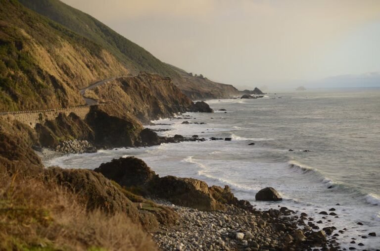 The Ultimate California Coastal Road Trip Guide: Pacific Coast Highway & Beyond
