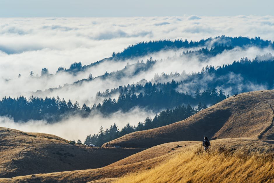 Unearthing California's Hidden Wonders: Tales of Science, Survival, and the Unbelievable