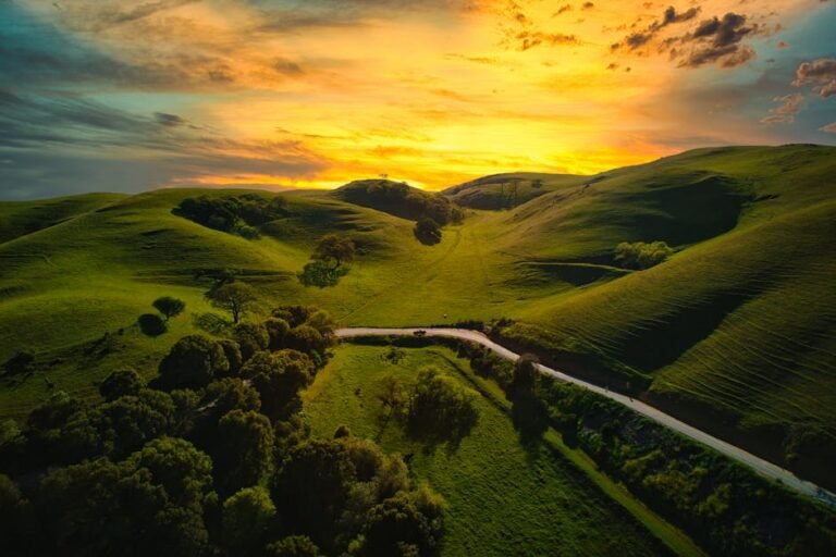 Capturing California's Vibrant Hues: Advanced Photography Tips for Travelers