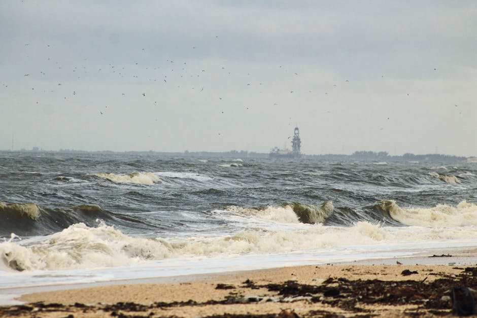The Deepwater Horizon Disaster: A Retrospective on the 2010 Gulf Oil Spill