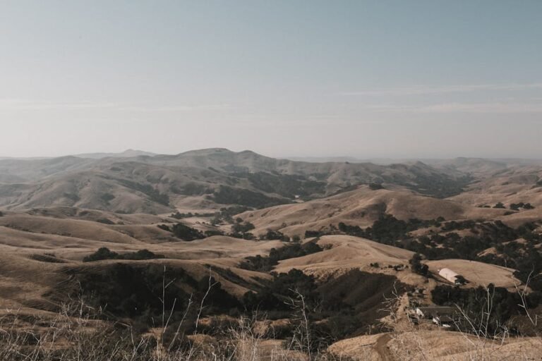 The Ultimate California Travel Guide: Explore Golden State Wonders