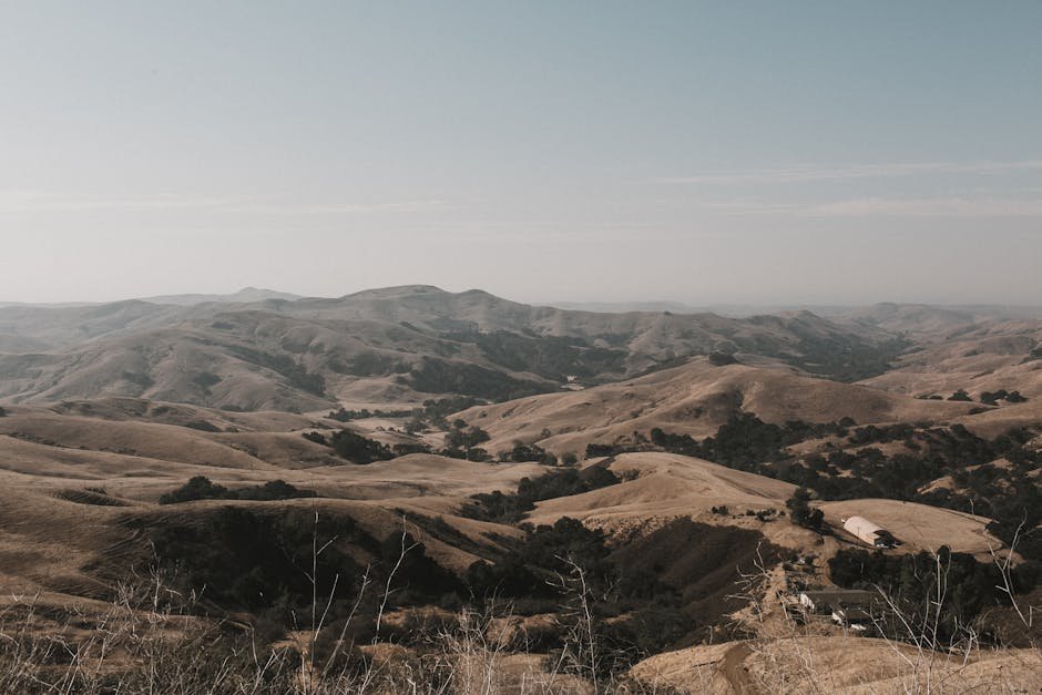 The Ultimate California Travel Guide: Explore Golden State Wonders
