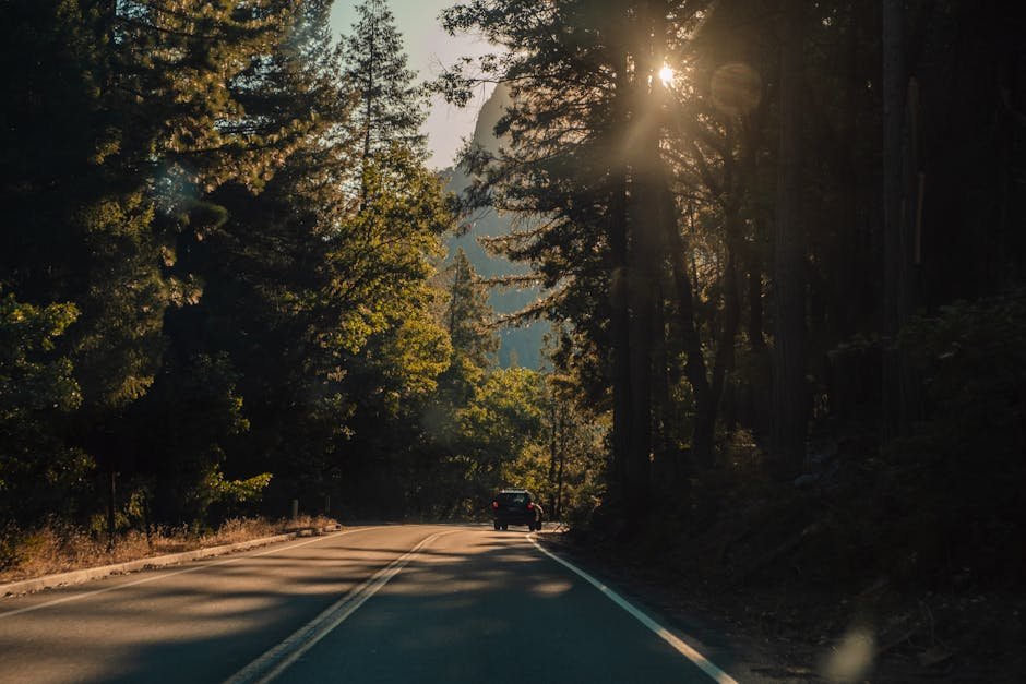 Unlock Your Dream California Trip: The Ultimate Guide to Personalized Travel & Optimization