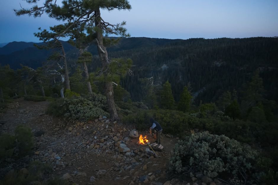 Lessons from the Jungle: Essential Survival Skills for California's Wilds
