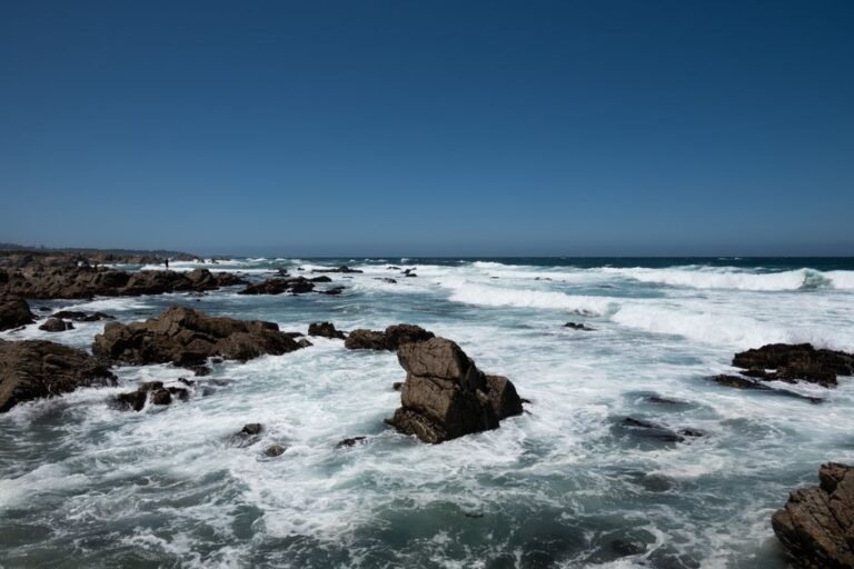 Unveiling Pacific Ocean Mysteries: California's Connection to the Lost Continent of Mu?