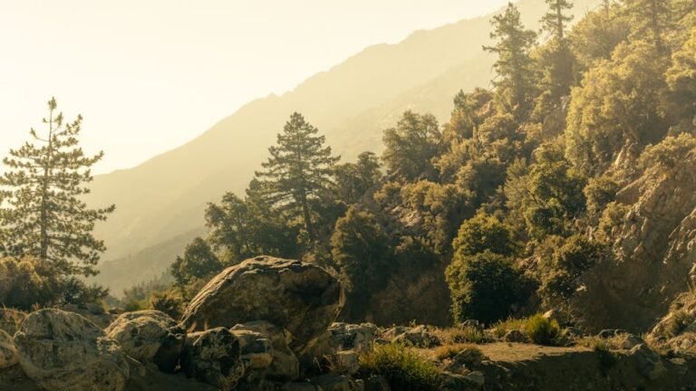 Roald Amundsen's Spirit: Inspiring Your Next California Adventure Travel