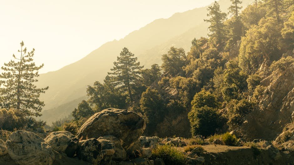 Roald Amundsen's Spirit: Inspiring Your Next California Adventure Travel