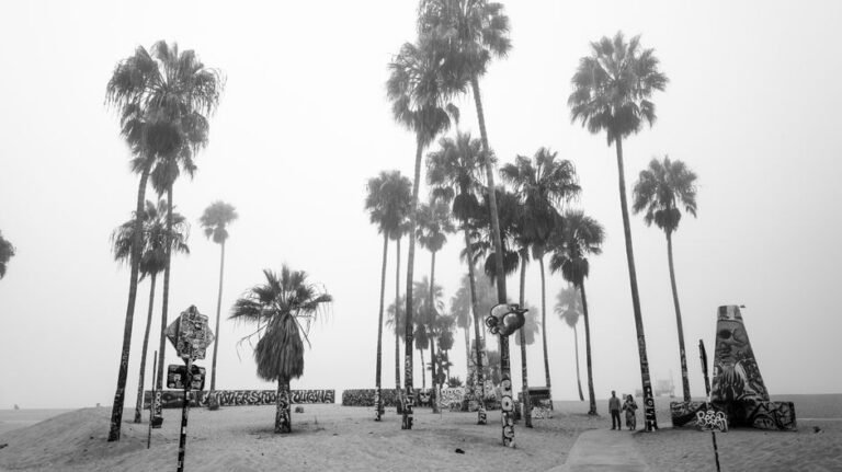 Unveiling Venice Beach: The Complex Culture Beyond the Iconic Boardwalk Glamour