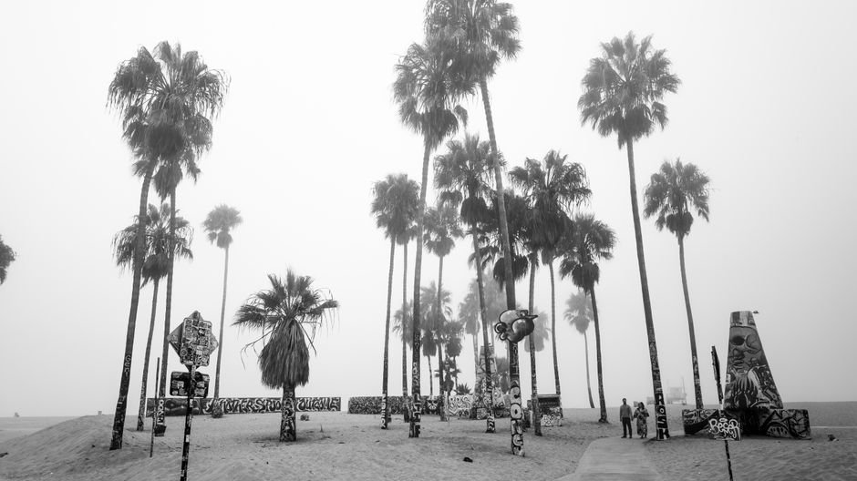Unveiling Venice Beach: The Complex Culture Beyond the Iconic Boardwalk Glamour