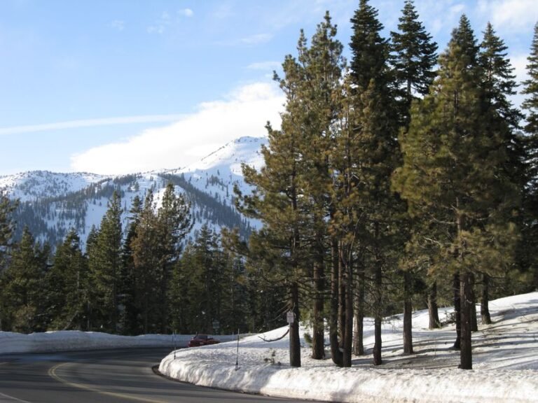 Mastering California Winter Driving: Why Snow Tires Outperform 4WD on Icy Roads